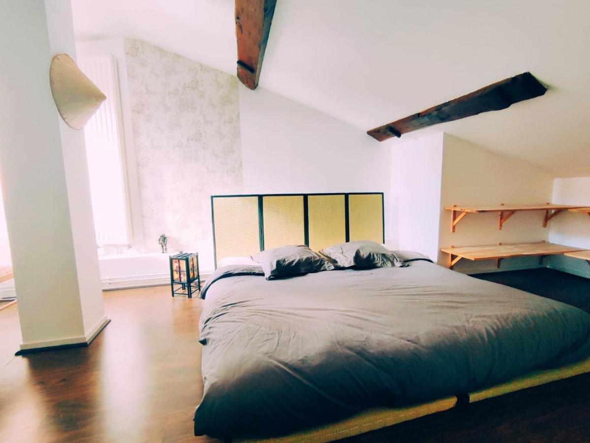 Superbe Appartement Duplex Centre Ville De Mâcon Eksteriør billede
